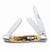 Case Medium Amberbone CV Stockman Pocket Knife