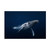 Trademark Fine Art 'Humpback Whale In Blue' Canvas Art by Barathieu Gabriel