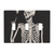 Triple Toggle Decorator Light Switch Receptacle Skull Skeleton Outlet Wall Plate Covers Electric Receptacle Plug Covers