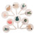 Holibanna 10pcs No Punching Sticky Hook Towel Hooks Ceiling Hanging Hook Wall Hooks for Coats Bath Towel Hooks Heavy Duty Wall Hooks Stick Hook Plastic Wall Hooks Adhesive Hook Hanger Heavy