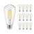 12 Pack Dimmable LED Edison Bulbs 40W Equivalent,4 Watt LED Filament Bulb,4000K Cool White ST19 Light Bulb,450LM E26 Vintage LED Bulbs for Ceiling Light Fixtures (4000K)