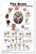 Blue Tree Publishing The Brain Poster 24x36inch, Waterproof, Cranial Nerves & Pathways