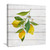 Canvas Painting Print Lemon Fruits Picture Poster Print Stretched And Framed Canvas Wall Painting Painting Modern Home Wall Decor for Kitchen Office Best Gift Ready to Hang