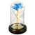 Birthday Gifts for Women, Rose Flower Gifts for Her, Glass Rose Gifts for Mom, Blue Colorful Flower Rose Gift, Light Up Rose Flowers in Glass Dome, Women Gifts for Her,Wife,Mom,Girls,Anniversary Birthday Gifts for Women, Rose Flower Gifts for Her, Glass Rose Gifts for Mom, Blue Colorful Flower Rose Gift, Light Up Rose Flowers in Glass Dome, Women Gifts for Her,Wife,Mom,Girls,Anniversary