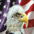 Rikki Knight American Flag Eagle Design Double Toggle Light Switch Plate