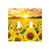 Wall Plate Sunflower Field Sunset 2-Gang Light Switch Plate Duplex Toggle Switch Covers For Bedroom Kitchen Home Decor