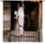 Horse Window Curtains, Western Wild Galloping Horses Curtains for Living Room,Country Style Rustic Farm Animal Horse Drapes 2 Panel Sets,42x45 Inch Horse Window Curtains, Western Wild Galloping Horses Curtains for Living Room,Country Style Rustic Farm Animal Horse Drapes 2 Panel Sets,42x45 Inch