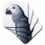 3dRose CST_4033_1 African Grey Parrot Soft Coasters, Set of 4