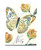 Punch Studio Florette Butterfly Pocket Notepad (47072)