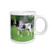 3dRose Dogs Blue Tick Coonhound - Blue Tick Coonhound - Mugs (mug_4417_1)