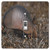 Rikki Knight Armadillo-Single Toggle Light Switch Plate