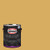 Glidden Interior Paint + Primer: Yellow Interior Paint /Butterscotch Bliss, One Coat, Eggshell, 1 Gallon