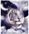 HommomH 50"x80" Blue Moon Tiger Blanket Soft Fluffy Fleece Throw for Couch Sofa Bed