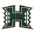 Flashscot NCAA Hawaii H Shape USB Drive, Hawaii, 4GB