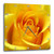 3dRose LLC Yellow Rose 10 by 10-Inch Wall Clock