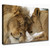Lion Lioness Canvas Wall Art Lion Artwork Lion Poster Print African Lion Art Lion Couple Picture Animal Lion Paintings Lion Pictures Canvas Lion Print Wall Art for Living Room 16x24in Unframed