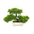 KUYYFDS Artificial Bonsai Decorative Artificial Plants,Simulation Pine Tree Potted Plant,Small Potted Plant Mini Artificial Green Plant,Artificial Bonsai Simulation Plants Tree Emulate Decorative