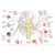 GREATBIGCANVAS Cranial Nerves. Nervous System Unframed Poster Print