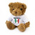 NEW - Mexico Flag Teddy Bear - Cute And Cuddly - Mexican Fan Gift Present
