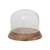 Creative Co-Op Glass Cloche with Mango Wood Base