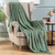 MIULEE Fleece Throw Blanket with Stripe Pattern Fuzzy Flannel Sage Green Blanket for Couch Plush Warm Cozy Bed Blanket Boho Decor for Bed Sofa Chair Twin Size 60"x80"