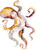 Pretty Watercolor Squid Octopus Art Vinyl Sticker (4" Tall)