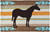 Jellybean Western Horse Accent Rug