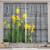 Ambesonne Yellow Flower Kitchen Curtains, Bouquet of Daffodils on Wood Planks Gardening Rustic Country Life Theme, Window Drapes 2 Panel Set for Kitchen Cafe Decor, 55" X 39", Yellow Grey