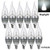 Baomao LED Candelabra Bulb, Base E12 3W, Daylight White 5500K, LED Candle Bulbs, 25 Watt Light Bulbs Equivalent Incandescent,Non-dimmable,270 Lumens LED Lights, Chandelier, Sliver (10 Pack,Flame Tip)