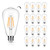 16 Pack LED Edison Bulbs 40W Equivalent, Dimmable 4 Watt LED Filament Bulb, 2200K Amber Light ST19 Light Bulb, 450LM E26 Vintage LED Bulbs for Ceiling Light Fixtures
