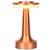 GZKPL Portable Table Lamp, Rechargeable Cordless LED Desk Lights with Touch Sensor Battery Powered USB Lamps for Bedroom, Kids Living Room, Home Office, Dorm Decor (Rose Gold)