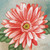 Carson Home Gerbera House Coaster, 4-inch Square, Set of 4