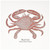 3dRose Red Crab Greeting Cards, 6" x 6", Set of 6 (gc_178815_1)