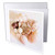3dRose Florene Decorative - She Sells Sea Shells - 6 Greeting Cards with envelopes (gc_18683_1)