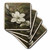3dRose CST_18938_3 Magnolia Grandflora Ceramic Tile Coasters, Set of 4