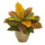 Nearly Natural 15in. Garden Croton Artificial Plant in Ceramic Planter (Real Touch), Orange