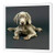 3dRose ht_1094_2 Weimaraner Puppy Iron on Heat Transfer for White Material, 6 by 6"