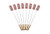 Marshmallow Roasting Sticks Smores Sticks for Fire Pit, Campfire Skewers, Campfire Stick, Extra Long Hot Dog Sticks, Roasting Sticks for Campfire, Campfire Forks, Hotdog Roasting Sticks, 8-Pack
