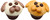 Appletree Design Dog Cupcake Salt and Pepper Set, 2-1/4-Inch