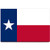 Texas flag fridge magnet Dallas Houston travel souvenir