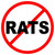 No Rats Text - (3 pack) Full Color Printed - (size: 2" ROUND color: BLACK/WHITE/RED) - Hard Hat, Helmet, Windows, Walls, Bumpers, Laptop, Lockers, etc.