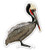 Pelican - 5" Vinyl Sticker - for Car Laptop I-Pad - Waterproof Decal