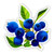 Pretty Blueberries - 5" Vinyl Sticker - for Car Laptop I-Pad - Waterproof Decal