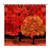 Shower Curtains Red Autumn 72 x 72 Inch Shower Curtain Set with 12 Hooks Home Bathroom Bathtubs Decor Polyester Fabric Machine Washable Durable
