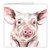 Maturi Blank Greeting Card with Water Colour Pig Image