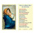 Christian Brands Madonna of The Streets Laminated Holy Card (25 Pieces)