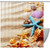 Shower Curtain for Bathroom, Sea Shells On Summer Beach Waterproof Fabric Bath Curtain Set with 12 Hooks, Standard Size 60 by 72