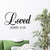 Wall Stickers Quote Art Loved John 3:16 Wall Decal Sticker Motivational Quotes Christian Wall Decals Vinyl Sticker Home Art Decor Vinyl Sticker for Girl Boy Bedroom Living Room Office Christian Gift