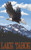 Northwest Art Mall Lake Tahoe Eagle Soaring Artwork by Paul A. Lanquist, 11-Inch by 17-Inch