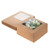 Aimto 10x10x5 Inches Cake Boxes with Window Kraft Bakery Pastry Box for Cookies, Pie, Pastries, Cupcakes,Pack of 10